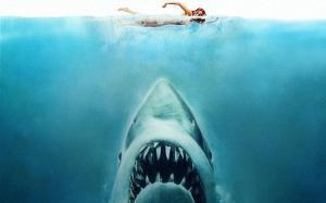 jaws