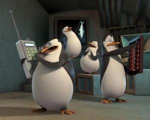 penguins
