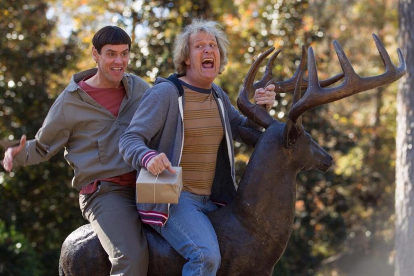 dumbanddumber
