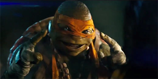 turtle