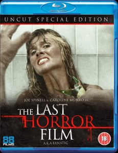Last Horror Film