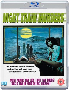 Night train murders