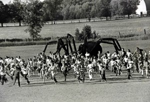 Spider1
