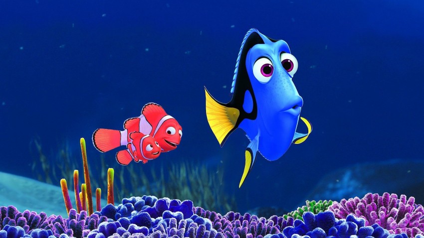 dory