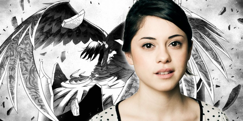 alita rosa