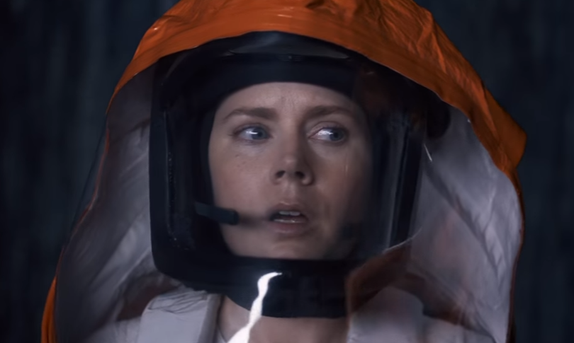 amy adams