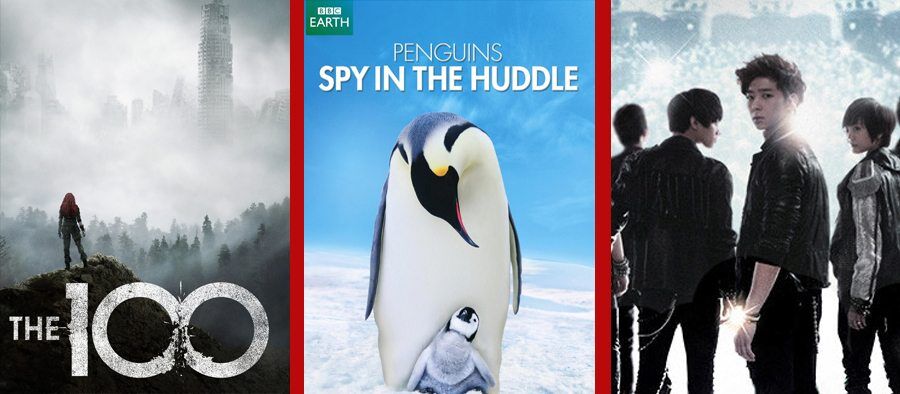 netflix-nov-2